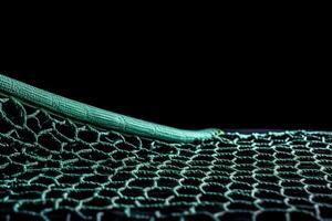 isolated tennis net. photo