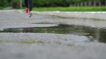 cerca arriba de piernas de un corredor en zapatillas. Deportes mujer trotar al aire libre, pisar dentro lodoso charco. soltero corredor corriendo en lluvia, haciendo chapoteo video