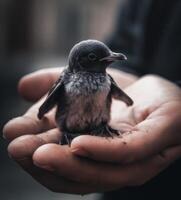 minúsculo pingüino bebé siendo retenida en su de la madre mano generativo ai foto