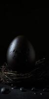 A black egg on black background photo