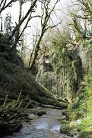 View of clear blue stream of water from mountain river runs between steep high banks overgrown with vines and forest in early spring. photo