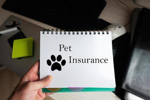 Pet insurance word on notebook holding man against desktop. photo