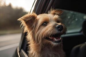 Happy dog looks out from car window. Road trip with dog. Generative AI photo