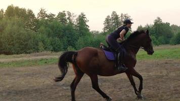 Woman riding horse by gallop video