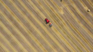 Aerial view of haymaking processed into round bales. Red tractor works in the field video