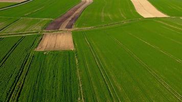 Aerial view of tractor performs seeding on the field video