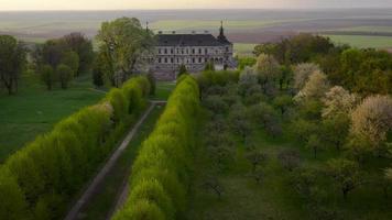 antenne visie van pidhirtsi kasteel in lente, Oekraïne video