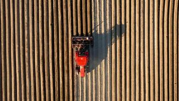 Aerial view of tractor performs seeding on the field video