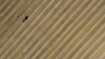 Aerial view of haymaking processed into round bales. Red tractor works in the field video