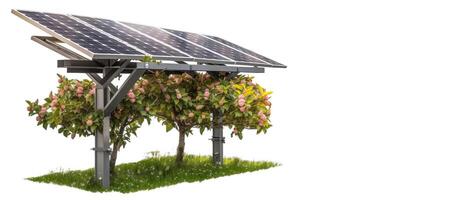 Solar panel in fruit trees on white background, isolate. Clean technologies of future. . photo