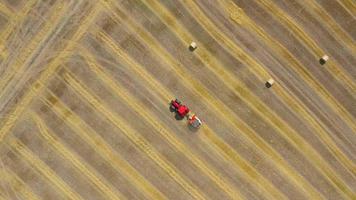 Aerial view of haymaking processed into round bales. Red tractor works in the field video