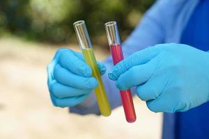 Closeup hands wears blue gloves holds test tube that contain red and blue liquid substances inside. Science experiment. Extract color. Concept, Chemistry lesson. Lab photo