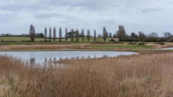 Levington Nature reserve photo