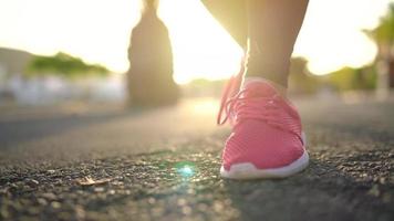 schließen oben von Frau binden Schuh Schnürsenkel und Laufen entlang das Palme Allee beim Sonnenuntergang video