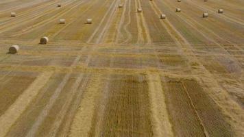 Aerial view of haymaking processed into round bales. Red tractor works in the field video