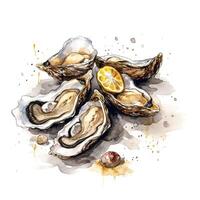 Serving of Oysters Illustration Isolated White Background with photo