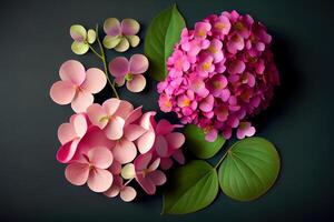 Flat lay pink orchids and hydrangea, bright nice color. photo