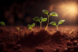 Agriculture Concept. Agricultural Business. New Life Young Small Sprout Soybean. photo