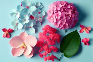 Flat lay pink orchids and hydrangea, bright nice color. photo
