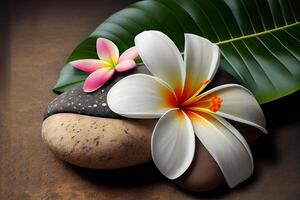 spa stones with frangipani. photo