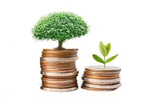 hoja de árbol en monedas de ahorro de dinero, concepto de inversión bancaria de ahorro de finanzas comerciales. foto