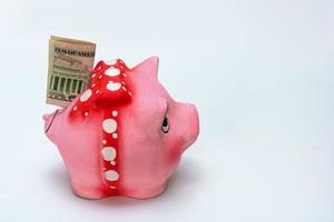 folded banknote sticks out of a piggy bank on a white background with copy space photo