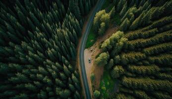 Aerial top view of asphalt road through green forest, healthy rain forest, environment, health, green economy, view of nature ecosystem for save Earth with . photo