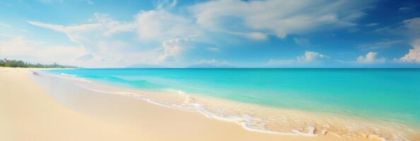 Panorama tropical sea and sandy beach with blue sky banner. photo