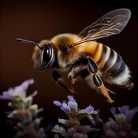 Honey bee fly in the garden with flower and nectar photo