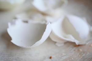 eggshells in a white color bowl on table photo