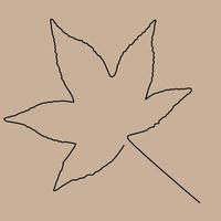 one line drawing of isolated vector object - maple leaf.