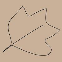 one line drawing of isolated vector object - maple leaf.