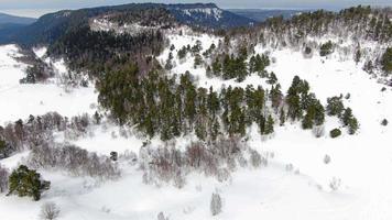 Beautiful Winter Mountain Landscape on a Cloudy Day Aerial Shot. Ski Resort Top View. video