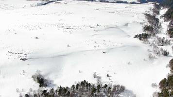 lindo inverno montanha panorama em uma nublado dia aéreo tomada. esqui recorrer topo visualizar. video