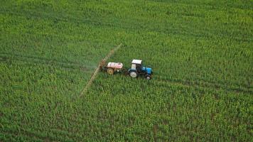 Aerial view of tractor treats agricultural plants on the field video
