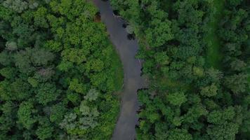 antenn se av de skön landskap de flod flöden bland de grön lövfällande skog video