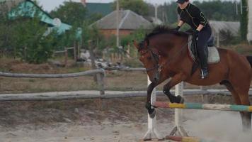 mujer montando caballo por galope video