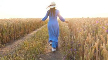 femmina mano toccante Grano su il campo nel un' tramonto leggero video