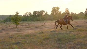 mujer montando caballo por galope video