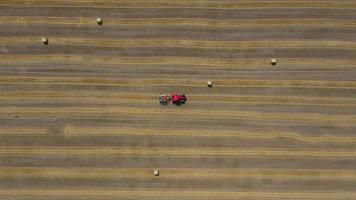 Aerial view of haymaking processed into round bales. Red tractor works in the field video