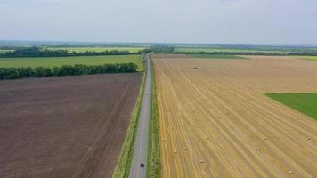 Aerial view of haymaking processed into round bales. Red tractor works in the field video