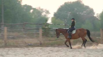 Woman riding horse by gallop video