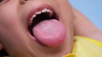 fechar-se dentro a oral cavidade do uma saudável criança com lindo linhas do bebê dentes. jovem menina abre boca revelador superior e mais baixo dentes, Difícil palato, suave palato, dental e oral saúde checar. video