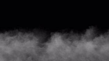 White Smoke rising on alpha background video