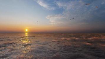 oceaan zonsondergang tafereel video