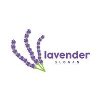 lavanda logo, sencillo elegante púrpura flor planta vector, saludo tarjeta diseño, bandera, flor ornamento, lavanda mano dibujado boda, icono símbolo ilustración vector