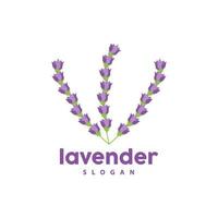 Lavender Logo, Simple Elegant Purple Flower Plant Vector, Greeting Card Design, Banner, Flower Ornament, Lavender Hand Drawn Wedding, Icon Symbol Illustration vector