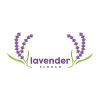 lavanda logo, sencillo elegante púrpura flor planta vector, saludo tarjeta diseño, bandera, flor ornamento, lavanda mano dibujado boda, icono símbolo ilustración vector