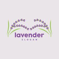 lavanda logo, sencillo elegante púrpura flor planta vector, saludo tarjeta diseño, bandera, flor ornamento, lavanda mano dibujado boda, icono símbolo ilustración vector