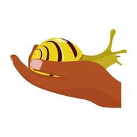 Snail sitting on a human hand. Snail-pet interacts with a person concept. vector